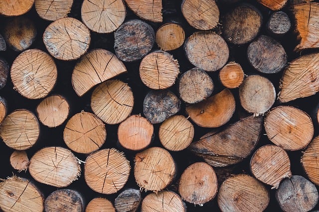 청와대 관람신청