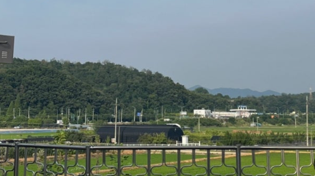 파주 논밭 카페 외부 전경 사진