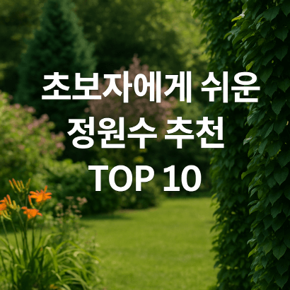 초보자에게 쉬운 정원수 추천 TOP 10 : 관리 부담 없이 키우는 베스트 수종