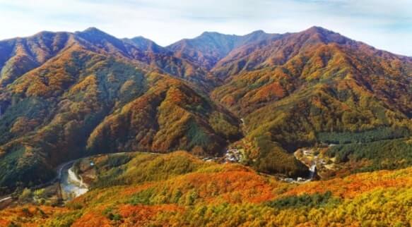 경기도 가평 유명산 청평호반 드라이브 코스