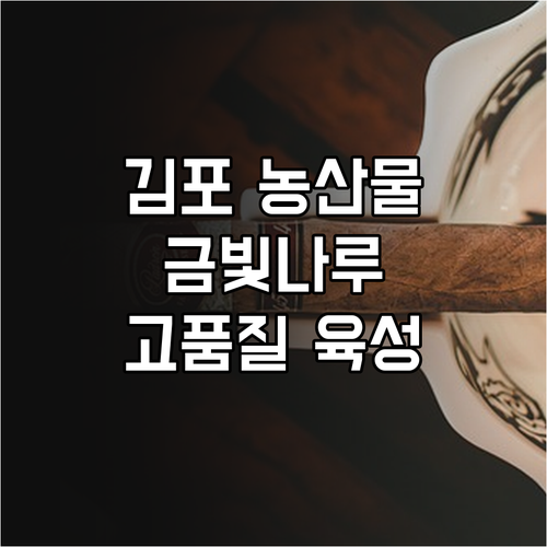 2025 김포 금빛나루 농특산물: 통..