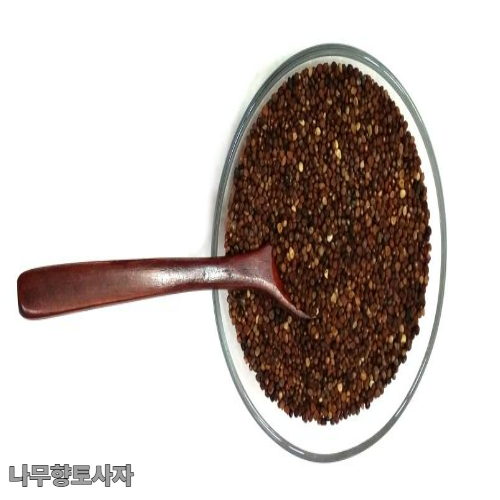 토사자