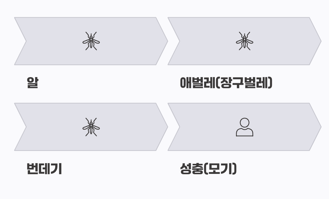 모기의 탄생, 녀석의 진짜 정체
