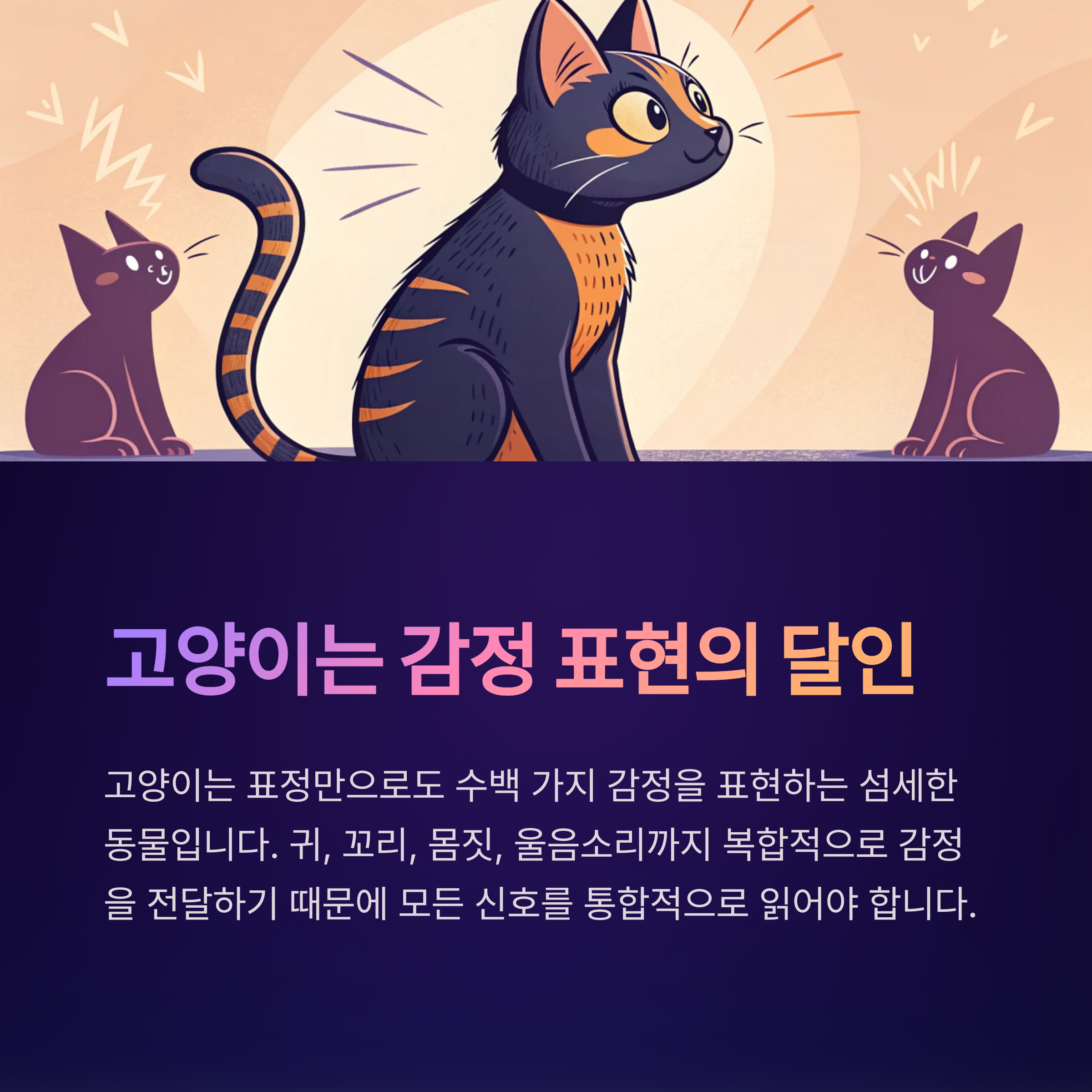 고양이는 감정 표현의 달인