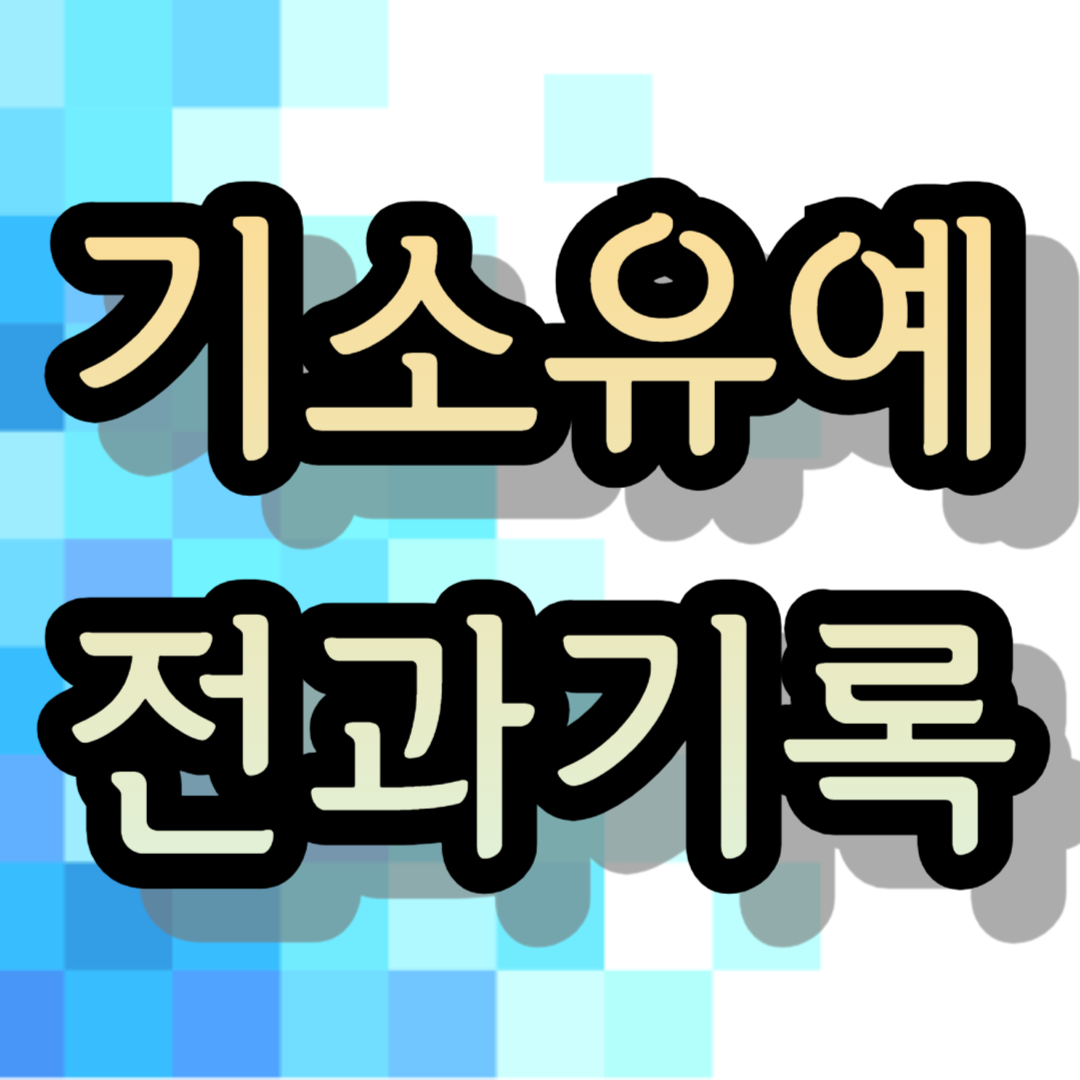기소유예 전과기록