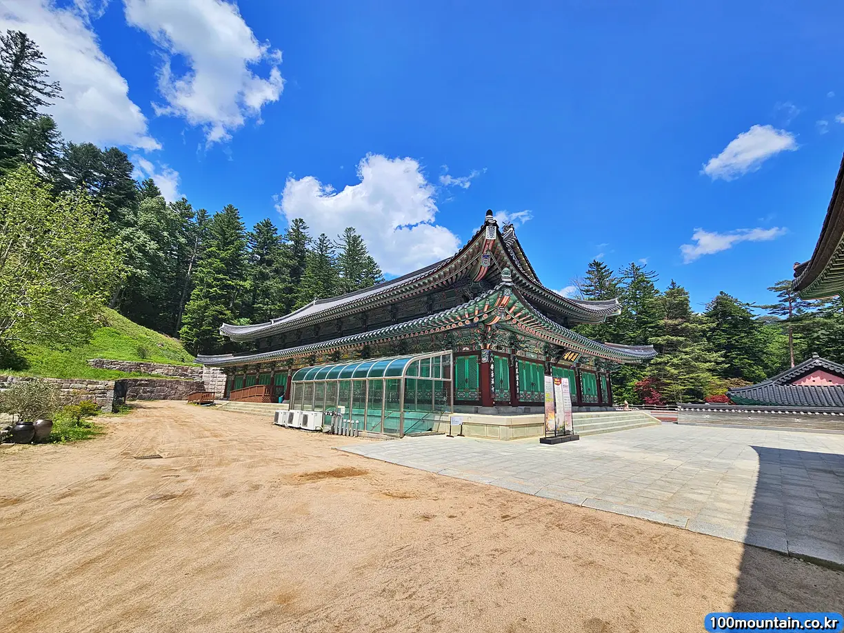 대법륜전