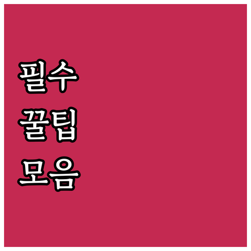 2025 칠곡군 임산부 핵심 혜택 신..