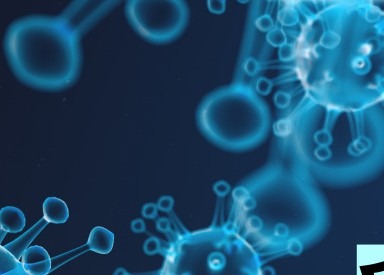 담도암 이란 / 담도암 증상