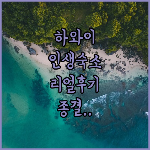 직접 고른 하와이 숙소 베스트 5 장..