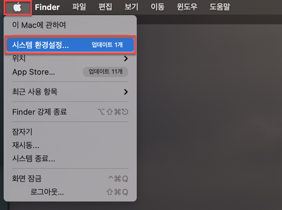 애플 시스템 환경설정