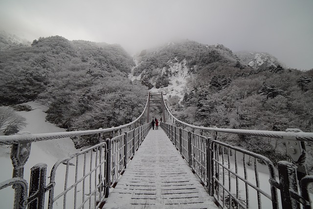 설날 제주도 여행 &amp;#124; 따뜻한 휴양지에서 보내는 특별한 명절