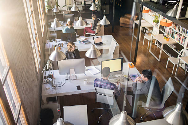 미래 청년 일자리 사업