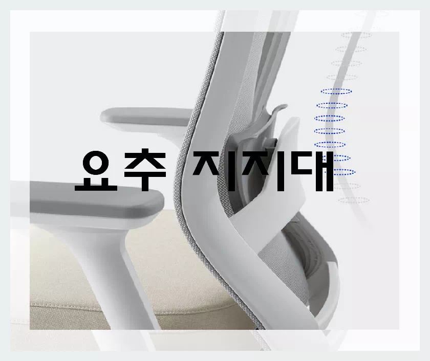 시디즈 T50 HA_요추지지대