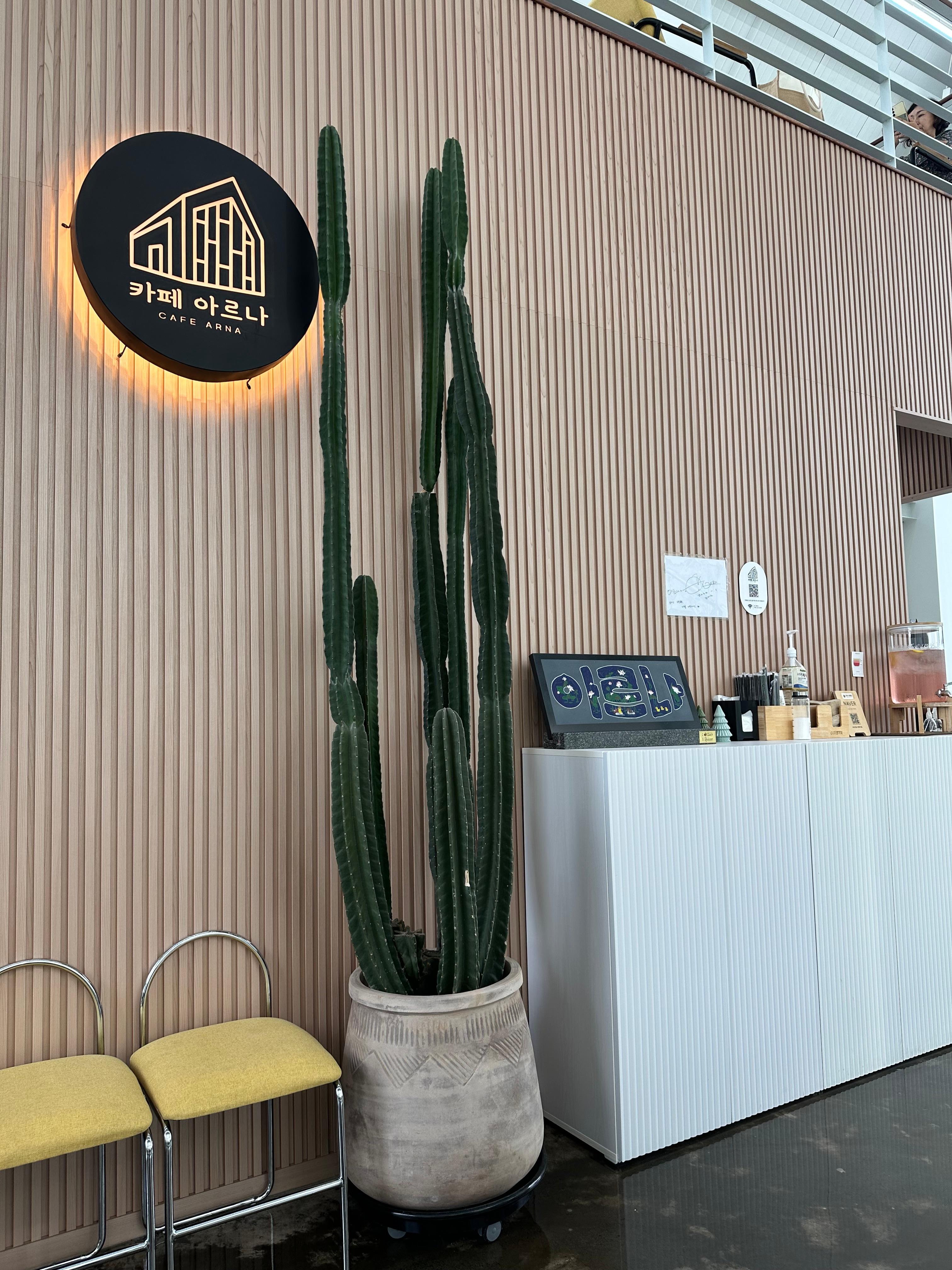 충남 보령, 대천, 무창포 여행 후기3(국내 가족 여행지 추천, 무창포 비체팰리스, 또다시 갯벌체험, 대천 맛집 부페, 점심 밥집 뷔페, 진짜 예쁜 카페 아르나, 분위기 좋은 카페 아르나, 한밤중 닭벼슬섬 산책, 대천항 수산시장 재방문, 찰광어회, 오징어회, 우성수산, 수연호수산, 무창포 비체펠리스, 오션뷰, 밥 해먹을 수 있는 숙소, 무창포 펜션)