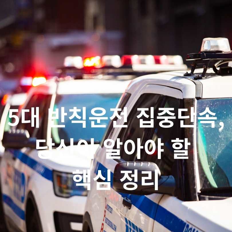 5대 반칙운전 집중단속