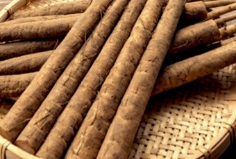 12월 제철음식 우엉