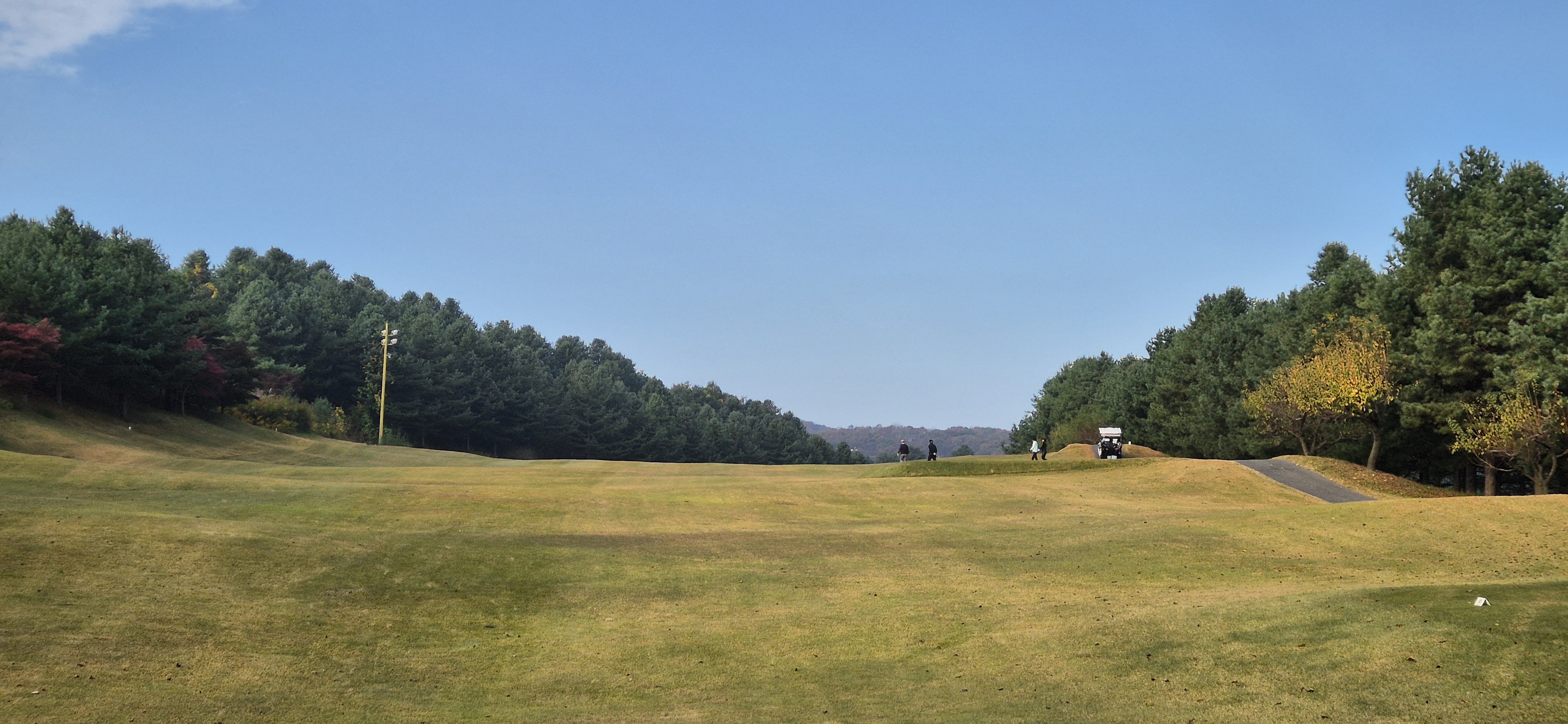 시그너스cc 라미코스 사진 및 공략 정보