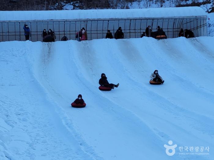 겨울 가족 여행 