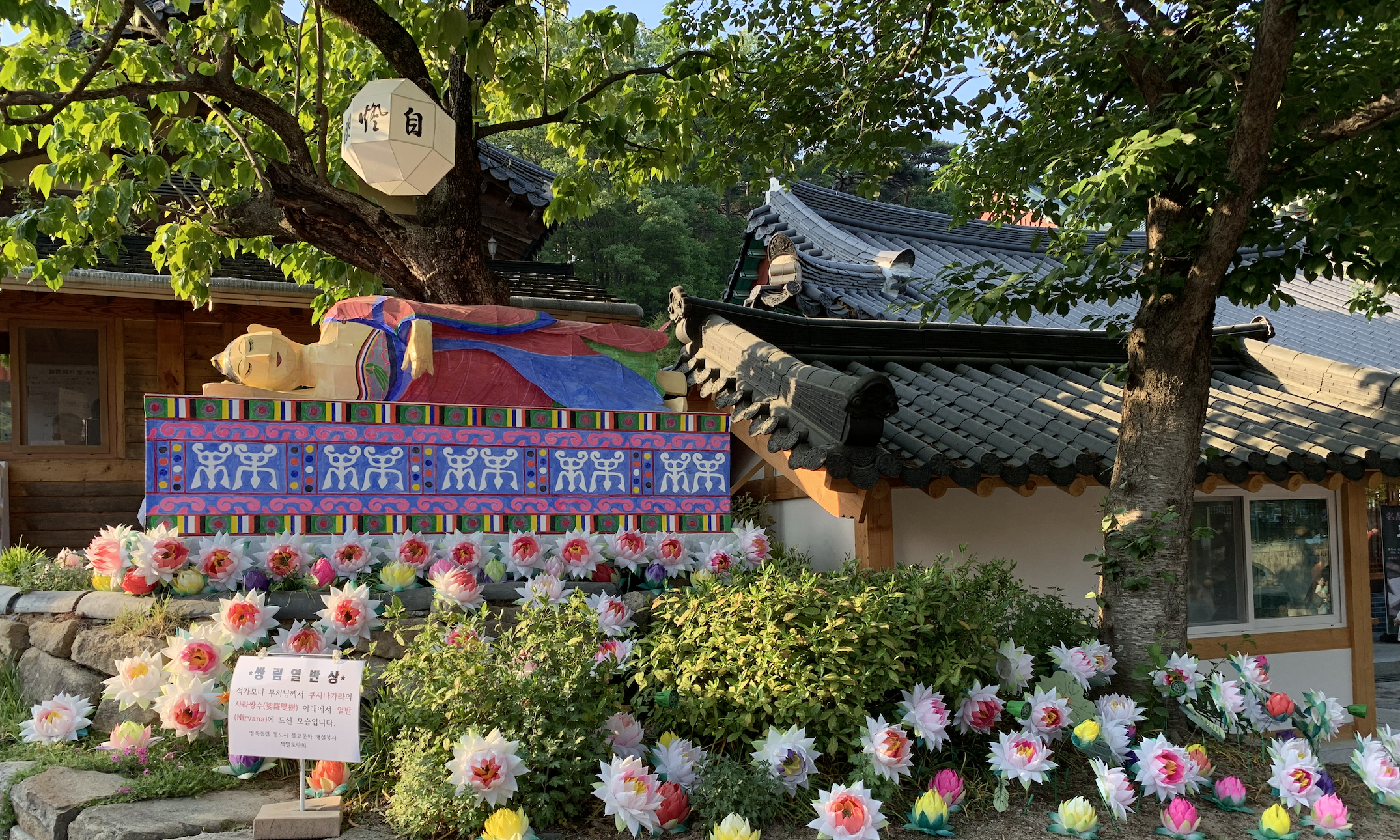 불교 연등 속 치유의 불빛