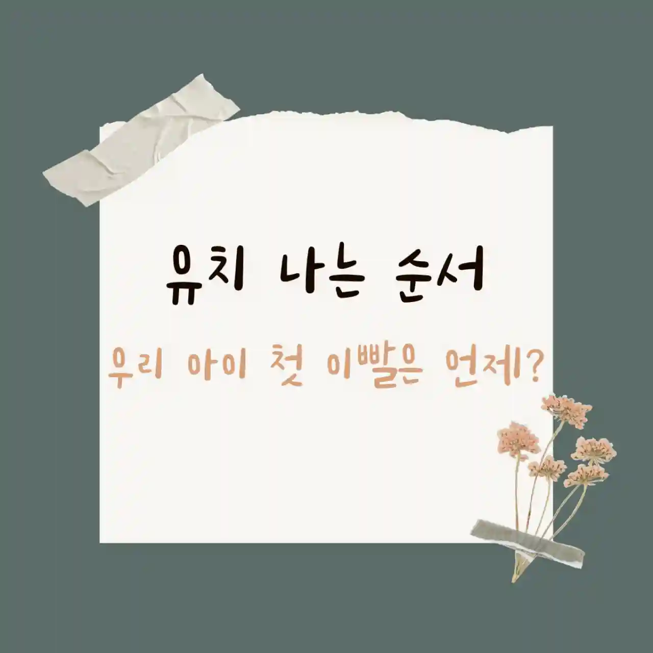 유치 나는 순서 👶 우리 아이 첫 이빨은 언제?