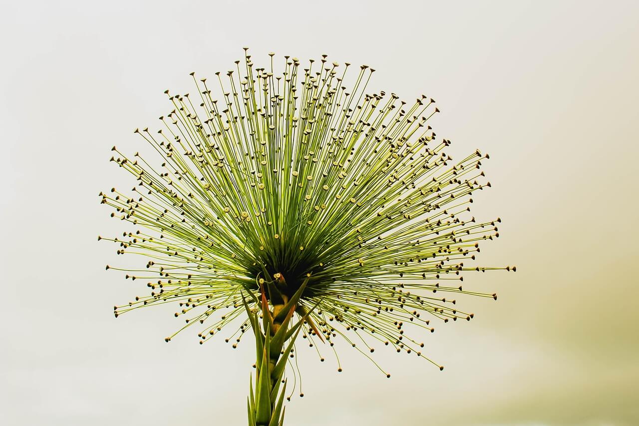 나르시시스트 대처법: 가스라이팅 끊고 자유로워지는 방법