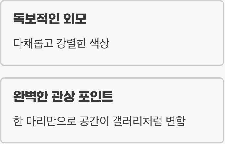 살아있는 예술 작품, 압도적인 비주얼