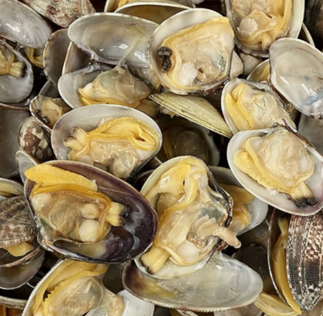 3월 제철 음식 BEST 5 🌿 건강에도 좋은 제철 먹거리 &amp; 방송 맛집 추천 (효능 포함!)