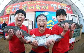 평창 송어 축제 2025 기간, 입장료, 텐트 낚시 예약에서 사람들이 맨손으로 물고기를 잡은 모습 2