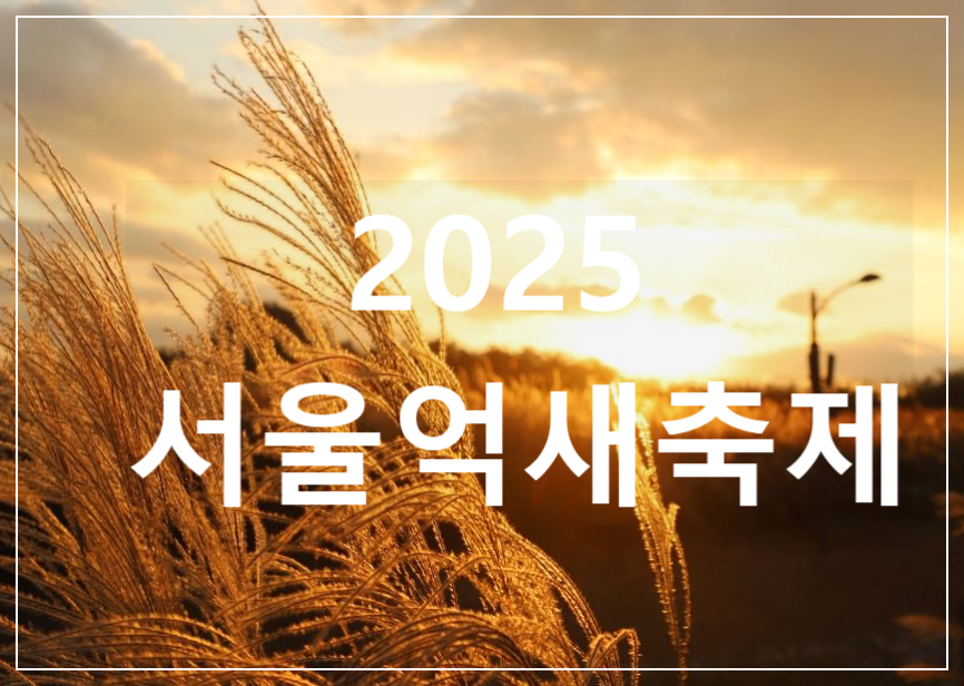 서울-억새축제