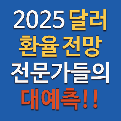 2025년 달러 환율 전망
