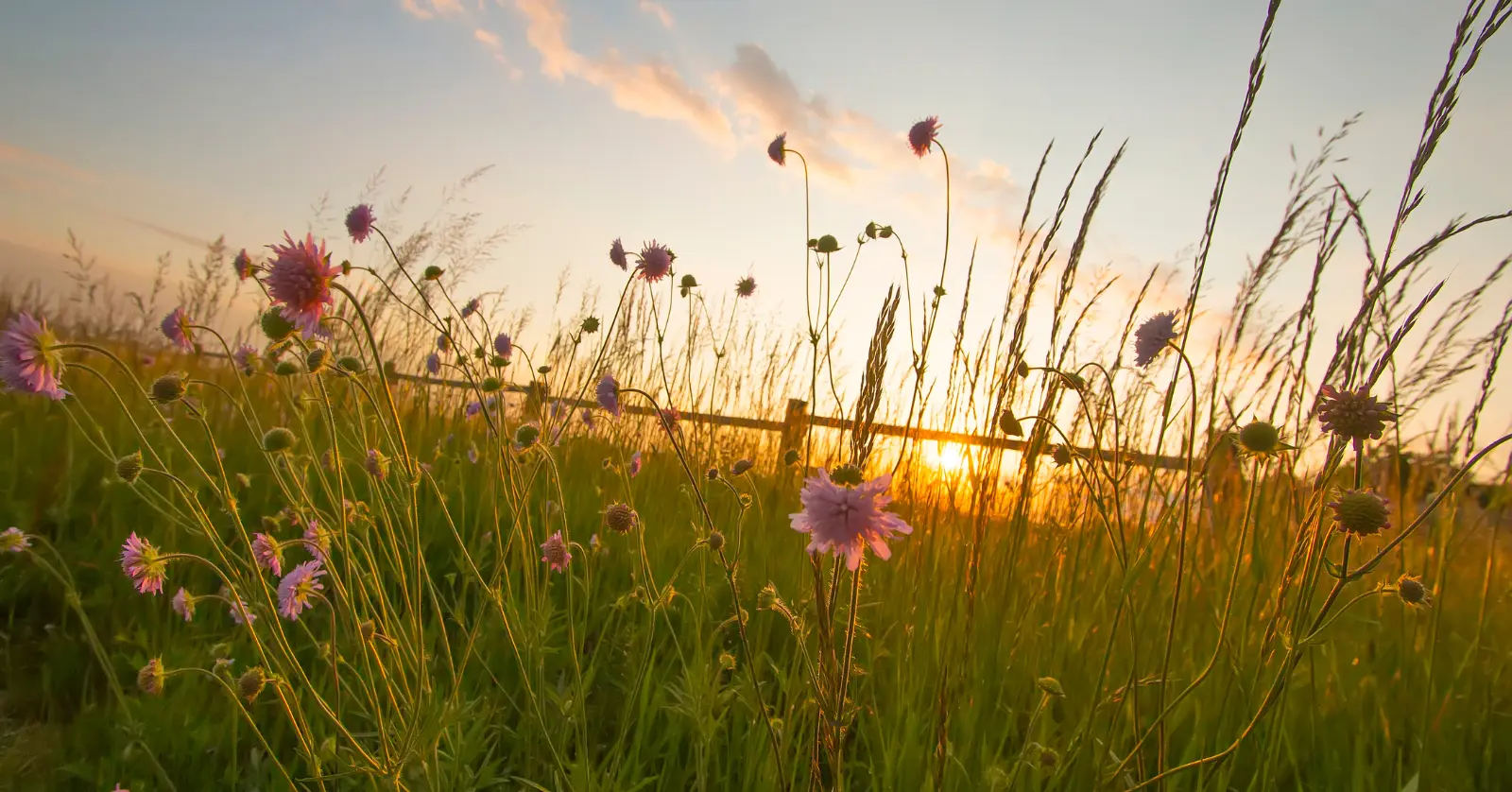 곰배령 예약하기: 한눈에 보는 절차