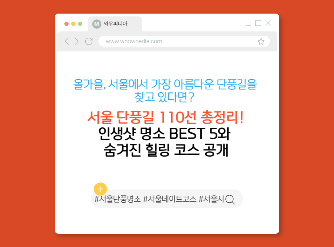 서울 단풍길 110선 총정리! 인생샷 명소 BEST 5와 숨겨진 힐링 코스 공개