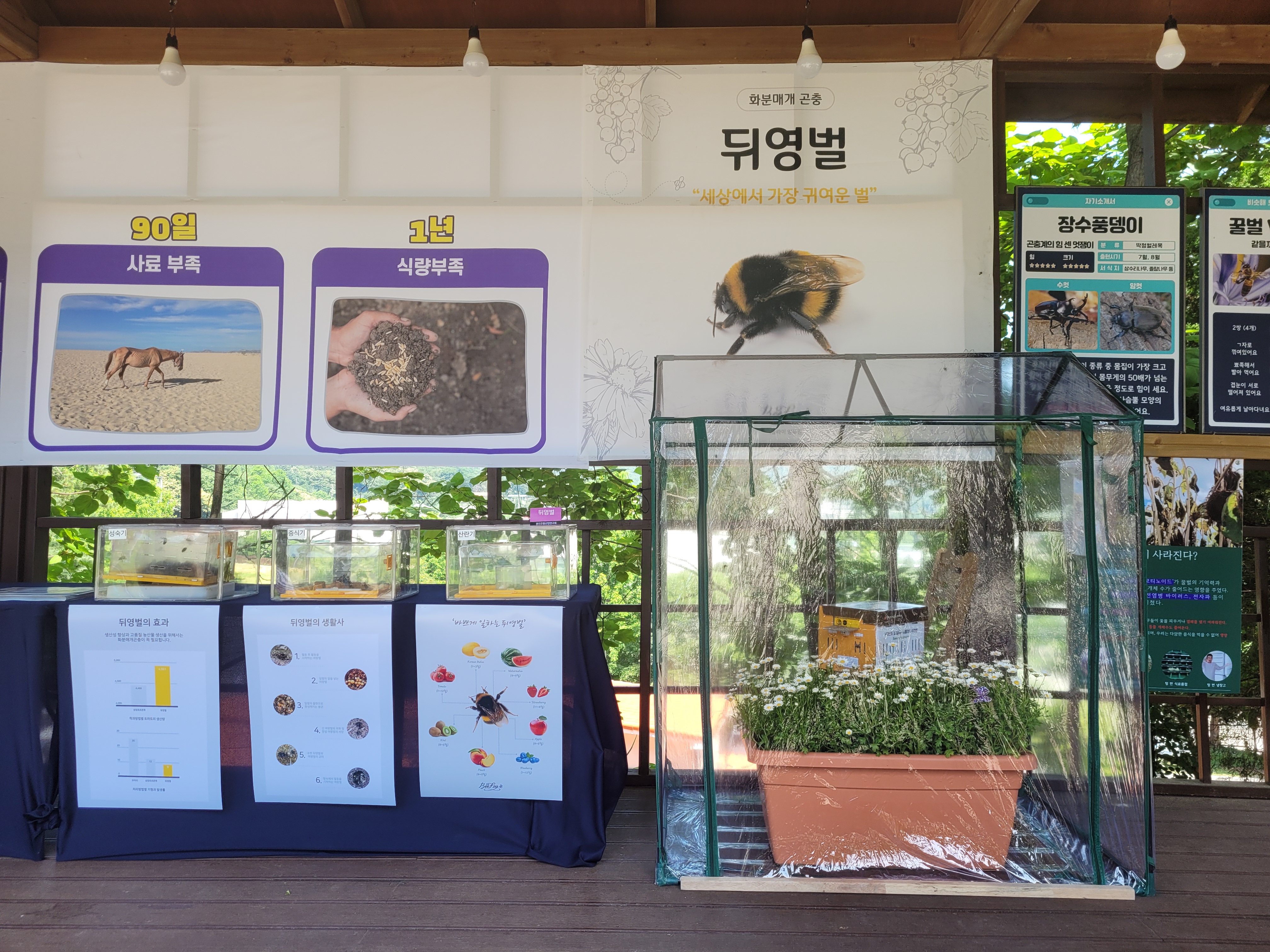 뒤엉벌