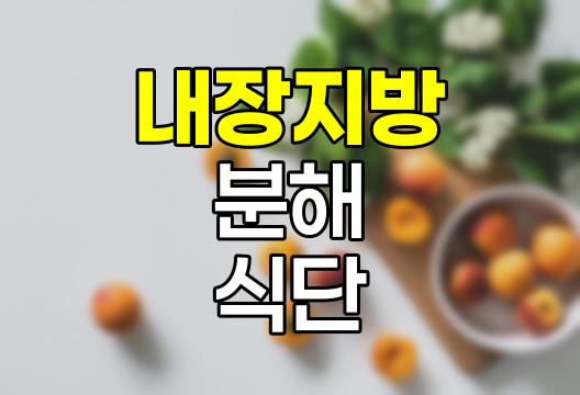 내장지방 분해 방법 및 추천 식단 상세 가이드