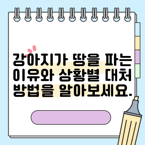 강아지가 땅을 파는 이유와 상황별 대처 방법을 알아보세요.