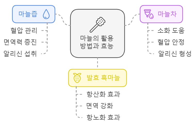 마늘 섭취 형태