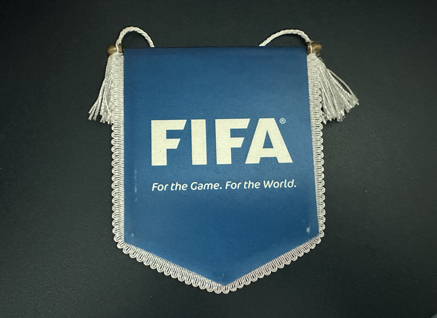 FIFA 페넌트 사진