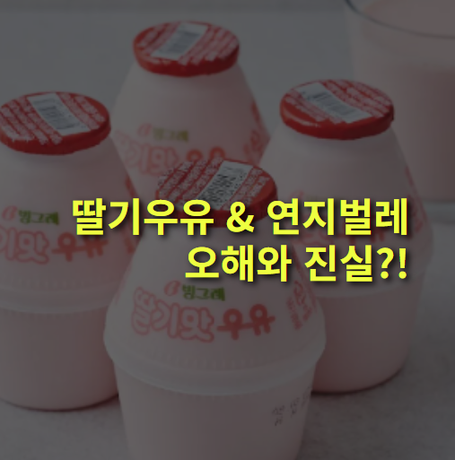 딸기우유와 연지벌레, 그리고 코치닐 색소에 대한 오해와 진실.