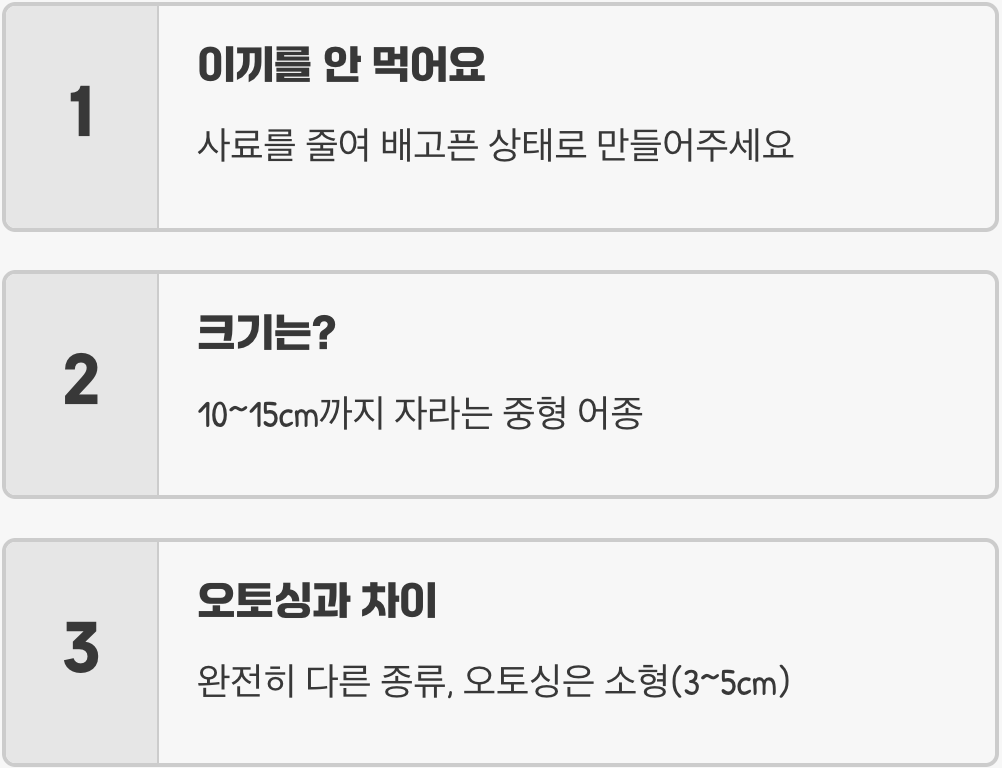 알지이터 키우기 A to Z (어항, 먹이, 수질 관리)