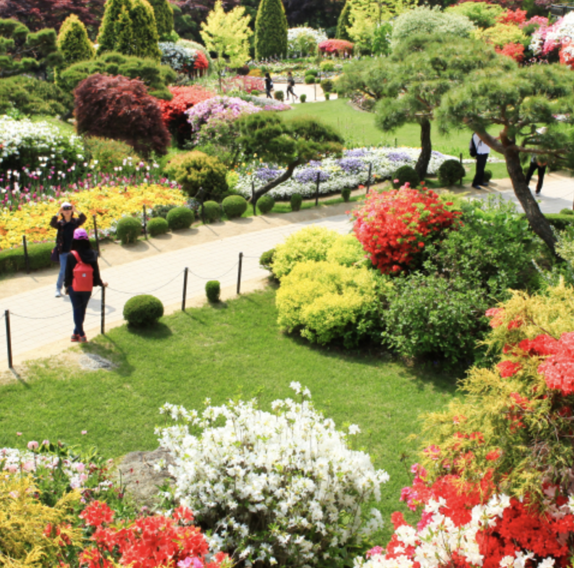 아침고요수목원의 사계절