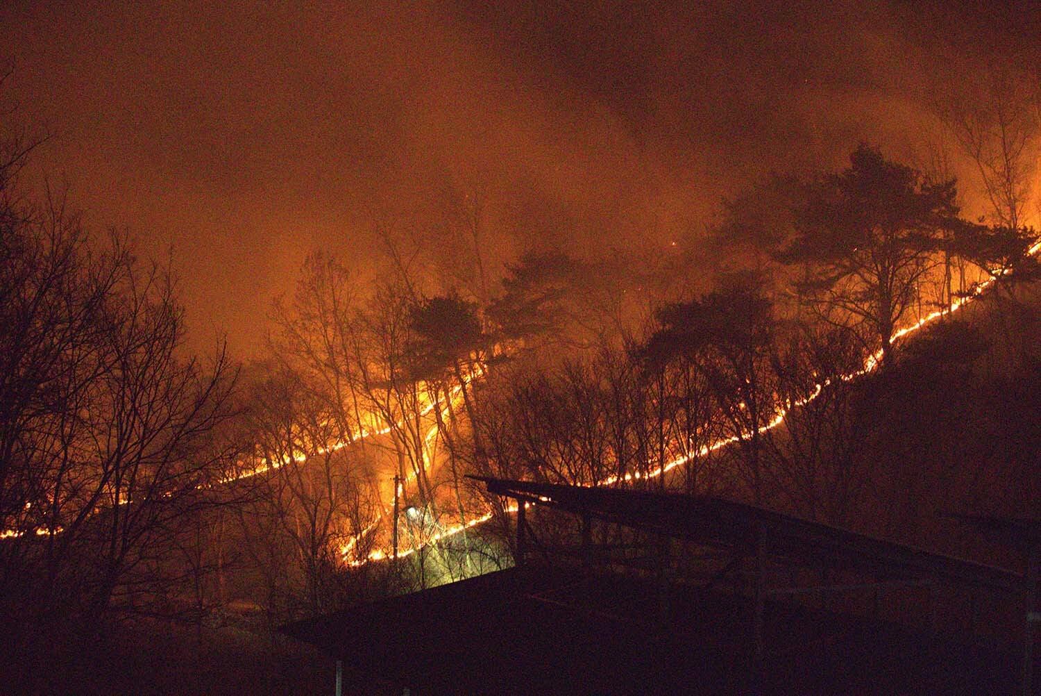 산불 국가위기경보 심각 단계 피해 상황 대피 요령