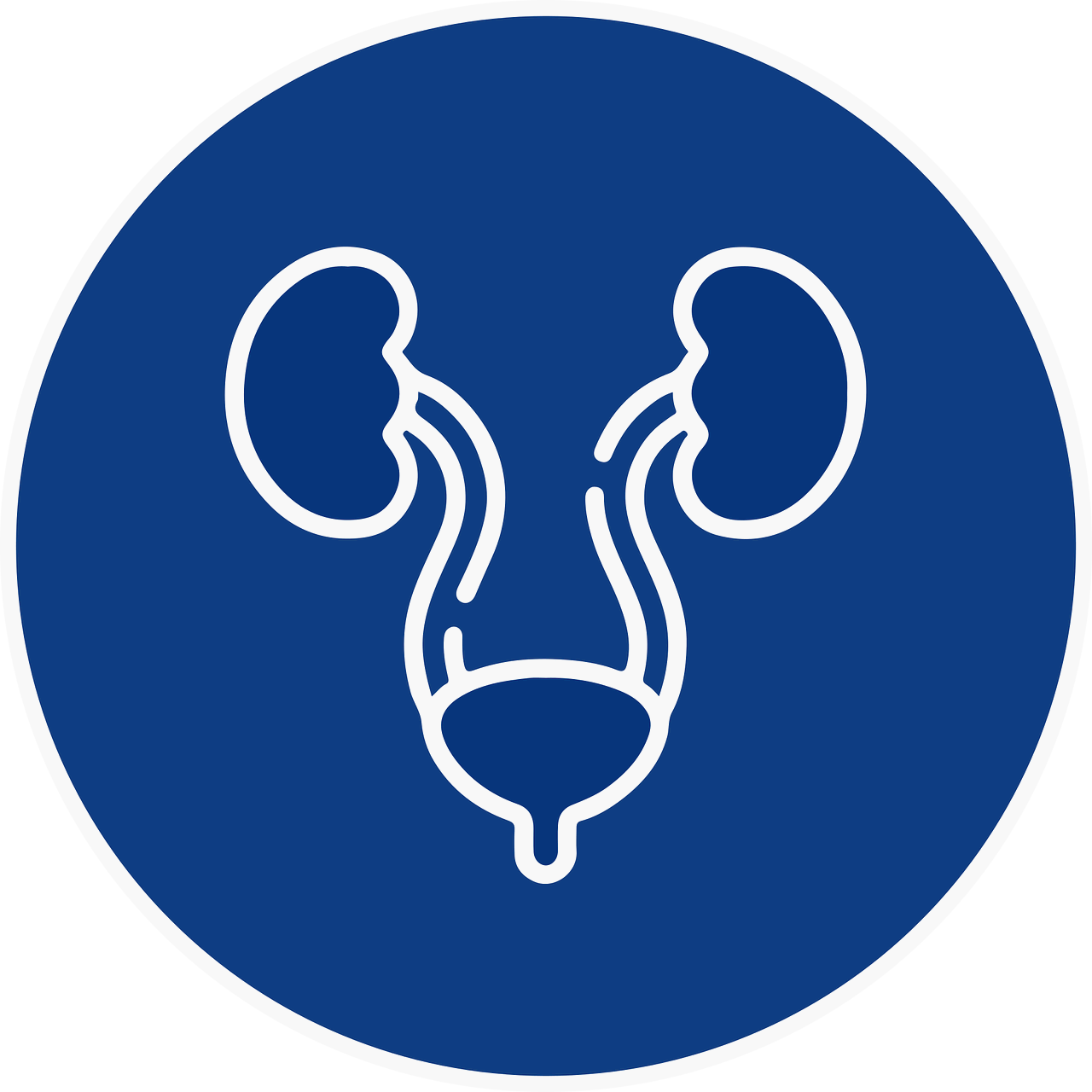 마취 중 급성 신부전 예방과 치료