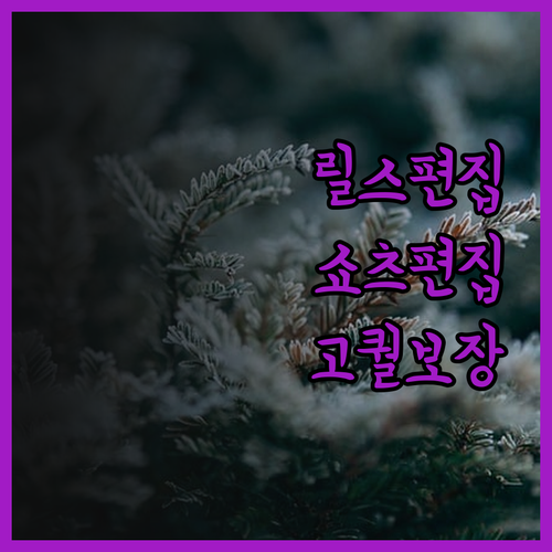 SNS 영상 편집, 릴스 쇼츠 퀄리티