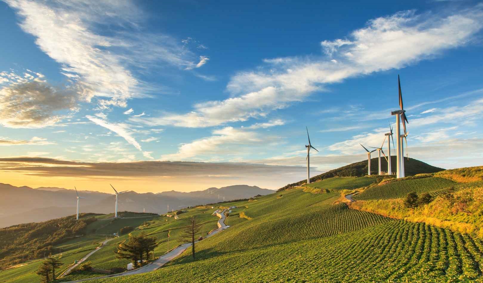 태백 매봉산 바람의언덕 운해