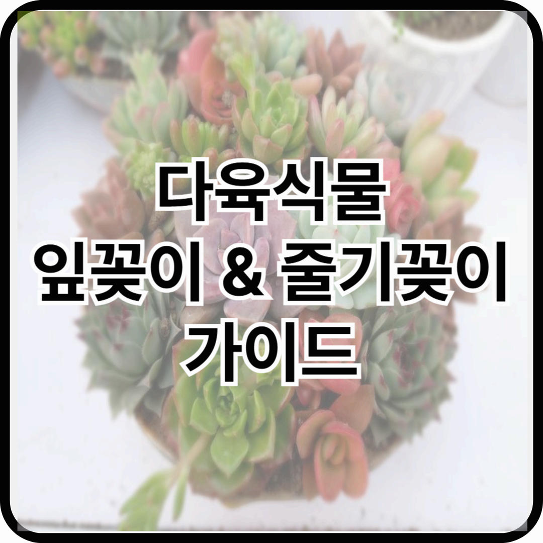 다육식물의 번식 방법: 잎꽂이와 줄기꽂이 가이드