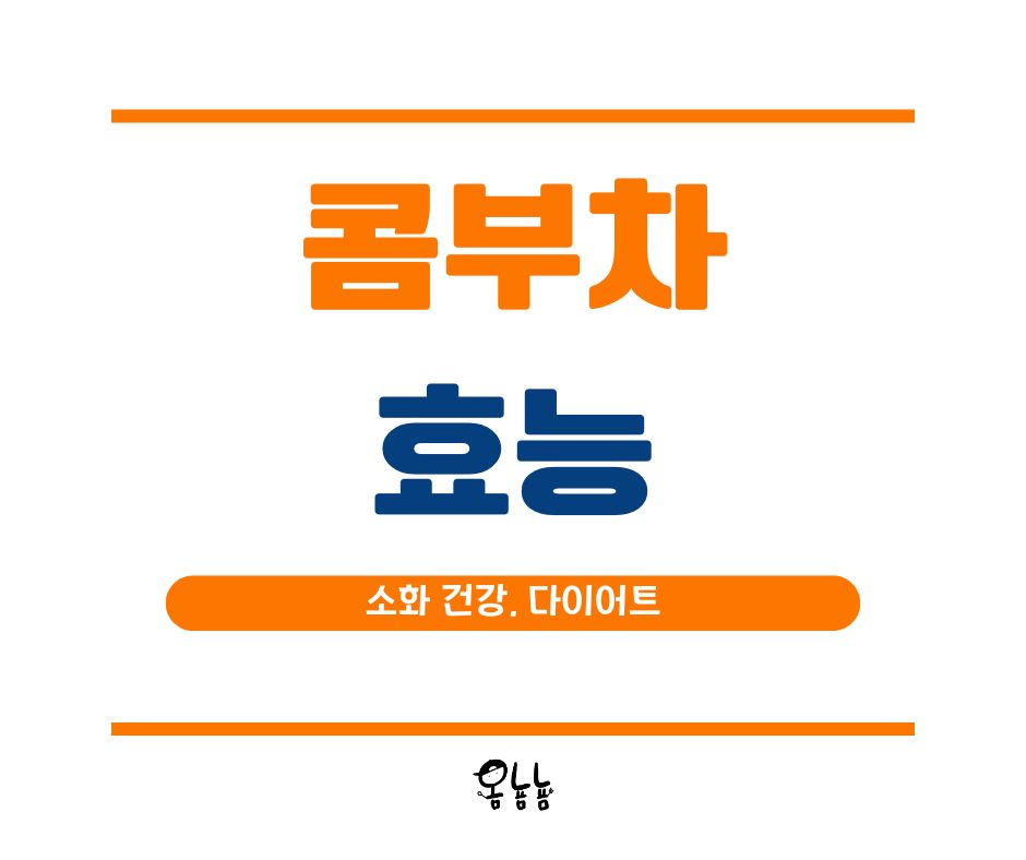 콤부차 효능