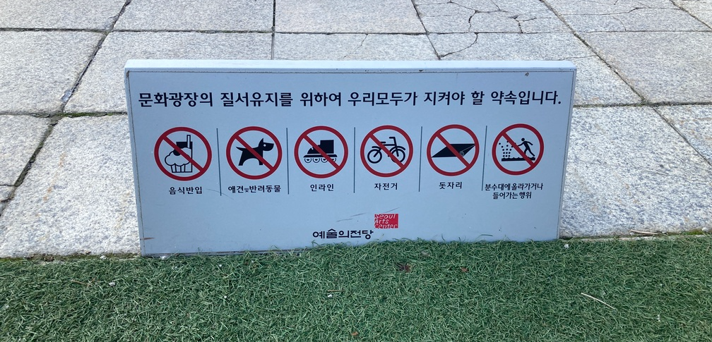 문화 광장 인조잔디