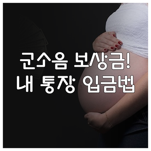 군소음 피해 보상 지역 확인과 본인 ..