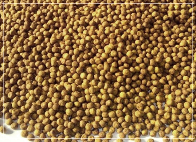 강황환: 먹는법, 효능, 그리고 부작용