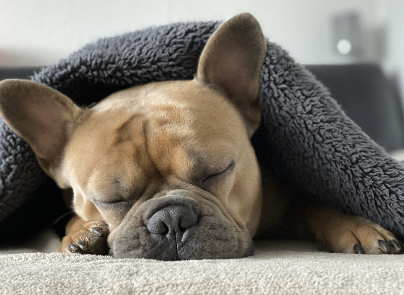 수면과 운동 회복의 상관관계: 근육 재생과 최적의 퍼포먼스를 위한 필수 요소